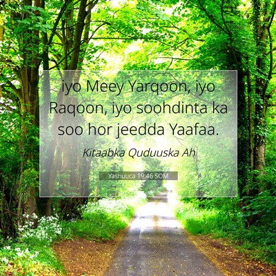 Picture 07 - Yashuuca 19:46 SOM - iyo Meey Yarqoon, iyo Raqoon, iyo soohdinta ka - Bible Verse Picture