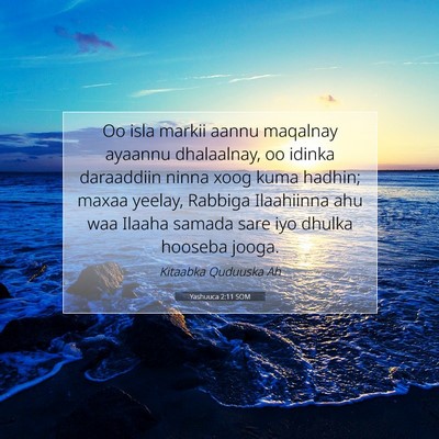 Picture 07 - Yashuuca 2:11 SOM - Oo isla markii aannu maqalnay ayaannu dhalaalnay, - Bible Verse Picture