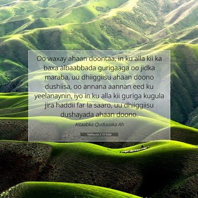Picture 07 - Yashuuca 2:19 SOM - Oo waxay ahaan doontaa, in ku alla kii ka baxa - Bible Verse Picture