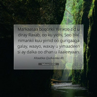 Picture 07 - Yashuuca 2:3 SOM - Markaasaa boqorkii Yerixoo cid u diray Raxab, oo - Bible Verse Picture