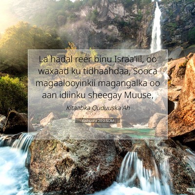 Picture 07 - Yashuuca 20:2 SOM - La hadal reer binu Israa'iil, oo waxaad ku - Bible Verse Picture