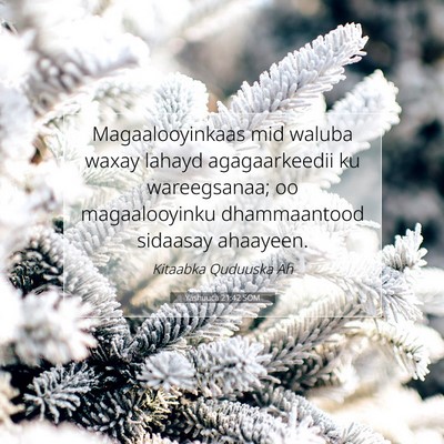 Picture 07 - Yashuuca 21:42 SOM - Magaalooyinkaas mid waluba waxay lahayd - Bible Verse Picture