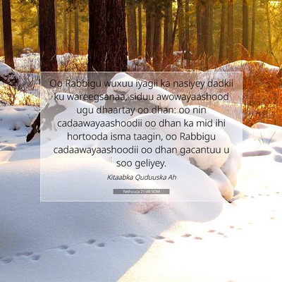 Picture 07 - Yashuuca 21:44 SOM - Oo Rabbigu wuxuu iyagii ka nasiyey dadkii ku - Bible Verse Picture