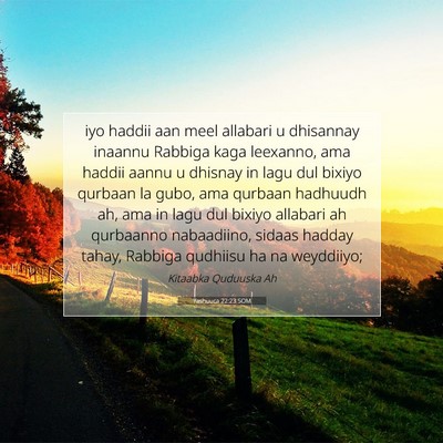 Picture 07 - Yashuuca 22:23 SOM - iyo haddii aan meel allabari u dhisannay inaannu - Bible Verse Picture