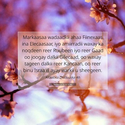 Picture 07 - Yashuuca 22:32 SOM - Markaasaa wadaadkii ahaa Fiinexaas ina - Bible Verse Picture