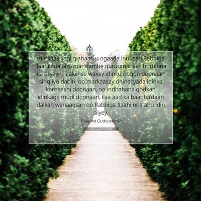 Picture 07 - Yashuuca 23:13 SOM - markaas xaqiiq ahaan u ogaada inuusan Rabbiga - Bible Verse Picture