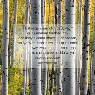Picture 07 - Yashuuca 23:4 SOM - Bal eega waan idiin qaybiyey quruumahan hadhay - Bible Verse Picture