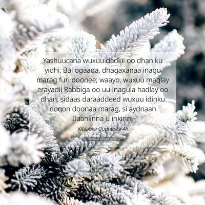 Picture 07 - Yashuuca 24:27 SOM - Yashuucana wuxuu dadkii oo dhan ku yidhi, Bal - Bible Verse Picture
