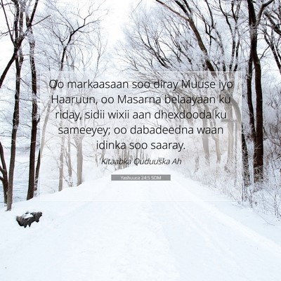 Picture 07 - Yashuuca 24:5 SOM - Oo markaasaan soo diray Muuse iyo Haaruun, oo - Bible Verse Picture