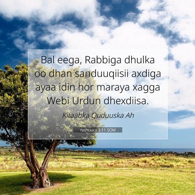 Picture 07 - Yashuuca 3:11 SOM - Bal eega, Rabbiga dhulka oo dhan sanduuqiisii - Bible Verse Picture