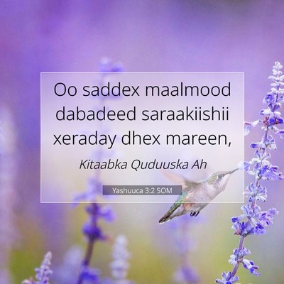 Picture 07 - Yashuuca 3:2 SOM - Oo saddex maalmood dabadeed saraakiishii xeraday - Bible Verse Picture