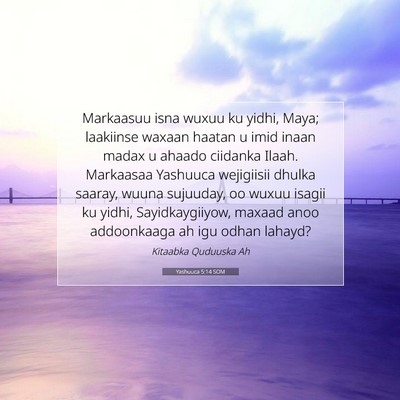 Picture 07 - Yashuuca 5:14 SOM - Markaasuu isna wuxuu ku yidhi, Maya; laakiinse - Bible Verse Picture