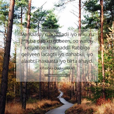 Picture 07 - Yashuuca 6:24 SOM - Markaasay magaaladii iyo wixii ku jirayba dab ku - Bible Verse Picture