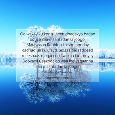 Picture 07 - Yashuuca 7:26 SOM - Oo waxay ku kor tuuleen dhagaxyo badan oo jira - Bible Verse Picture