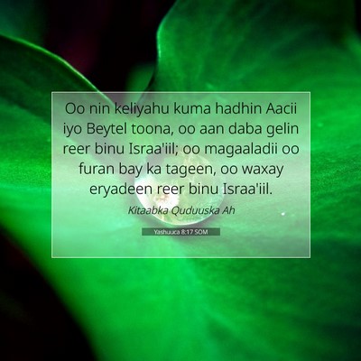Picture 07 - Yashuuca 8:17 SOM - Oo nin keliyahu kuma hadhin Aacii iyo Beytel - Bible Verse Picture