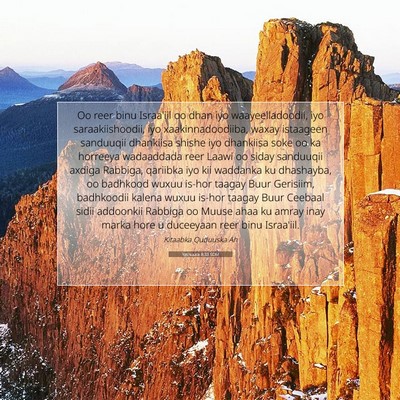 Picture 07 - Yashuuca 8:33 SOM - Oo reer binu Israa'iil oo dhan iyo - Bible Verse Picture