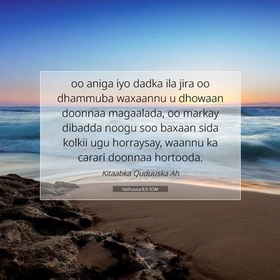 Picture 07 - Yashuuca 8:5 SOM - oo aniga iyo dadka ila jira oo dhammuba waxaannu - Bible Verse Picture