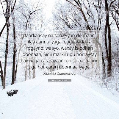 Picture 07 - Yashuuca 8:6 SOM - Markaasay na soo eryan doonaan ilaa aannu iyaga - Bible Verse Picture