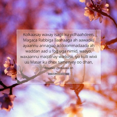 Picture 07 - Yashuuca 9:9 SOM - Kolkaasay waxay isagii ku yidhaahdeen, Magaca - Bible Verse Picture