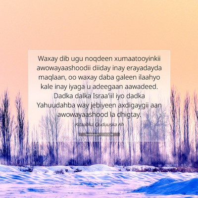 Picture 07 - Yeremyaah 11:10 SOM - Waxay dib ugu noqdeen xumaatooyinkii - Bible Verse Picture