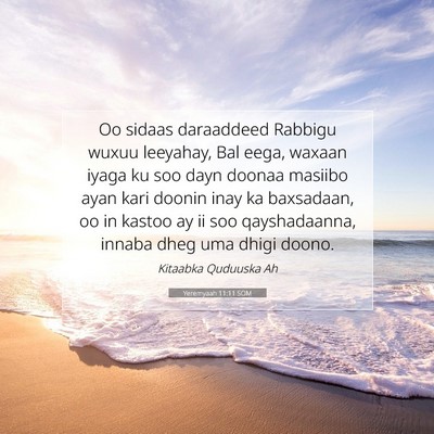 Picture 07 - Yeremyaah 11:11 SOM - Oo sidaas daraaddeed Rabbigu wuxuu leeyahay, Bal - Bible Verse Picture