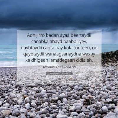 Picture 07 - Yeremyaah 12:10 SOM - Adhijirro badan ayaa beertaydii canabka ahayd - Bible Verse Picture
