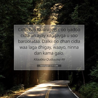 Picture 07 - Yeremyaah 12:11 SOM - Cidla bay ka dhigeen, oo iyadoo cidla ah ayay - Bible Verse Picture