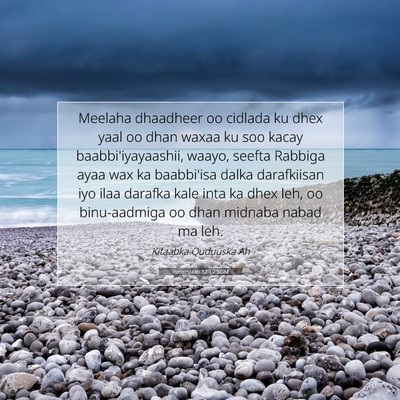 Picture 07 - Yeremyaah 12:12 SOM - Meelaha dhaadheer oo cidlada ku dhex yaal oo dhan - Bible Verse Picture