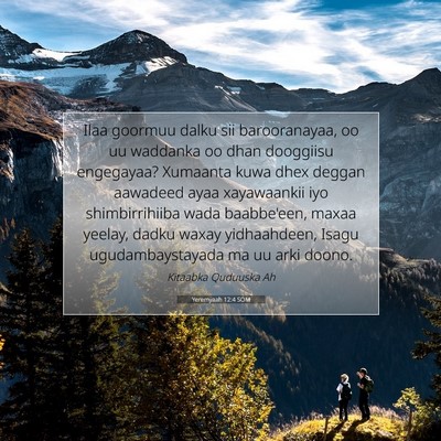 Picture 07 - Yeremyaah 12:4 SOM - Ilaa goormuu dalku sii barooranayaa, oo uu - Bible Verse Picture