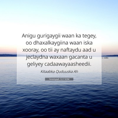 Picture 07 - Yeremyaah 12:7 SOM - Anigu gurigaygii waan ka tegey, oo dhaxalkaygiina - Bible Verse Picture