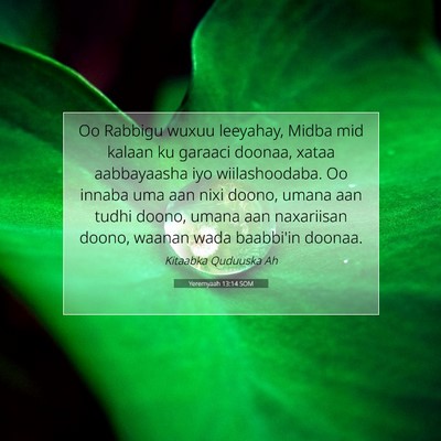 Picture 07 - Yeremyaah 13:14 SOM - Oo Rabbigu wuxuu leeyahay, Midba mid kalaan ku - Bible Verse Picture