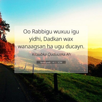 Picture 07 - Yeremyaah 14:11 SOM - Oo Rabbigu wuxuu igu yidhi, Dadkan wax wanaagsan - Bible Verse Picture