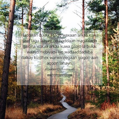 Picture 07 - Yeremyaah 14:18 SOM - Haddaan duurka tago waxaan arkaa kuwa seef lagu - Bible Verse Picture