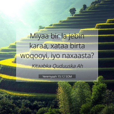 Picture 07 - Yeremyaah 15:12 SOM - Miyaa bir la jebin karaa, xataa birta woqooyi, - Bible Verse Picture