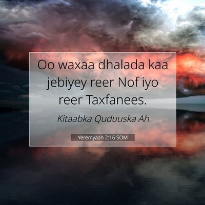 Picture 07 - Yeremyaah 2:16 SOM - Oo waxaa dhalada kaa jebiyey reer Nof iyo reer - Bible Verse Picture