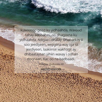 Picture 07 - Yeremyaah 2:27 SOM - kuwaasoo geed ku yidhaahda, Waxaad tahay - Bible Verse Picture
