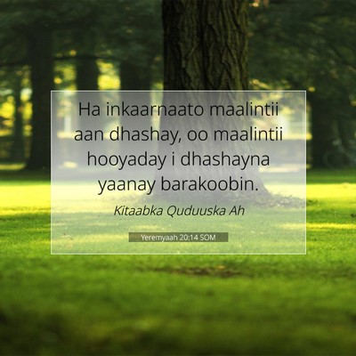 Picture 07 - Yeremyaah 20:14 SOM - Ha inkaarnaato maalintii aan dhashay, oo - Bible Verse Picture