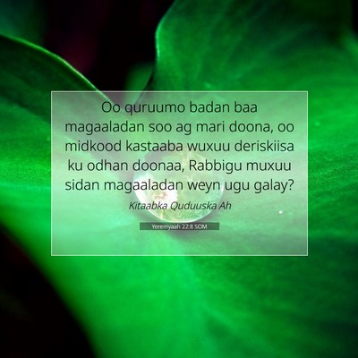 Picture 07 - Yeremyaah 22:8 SOM - Oo quruumo badan baa magaaladan soo ag mari - Bible Verse Picture