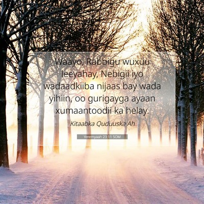 Picture 07 - Yeremyaah 23:11 SOM - Waayo, Rabbigu wuxuu leeyahay, Nebigii iyo - Bible Verse Picture