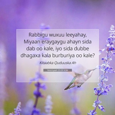 Picture 07 - Yeremyaah 23:29 SOM - Rabbigu wuxuu leeyahay, Miyaan eraygaygu ahayn - Bible Verse Picture