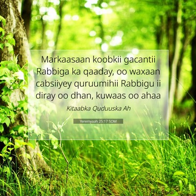 Picture 07 - Yeremyaah 25:17 SOM - Markaasaan koobkii gacantii Rabbiga ka qaaday, oo - Bible Verse Picture