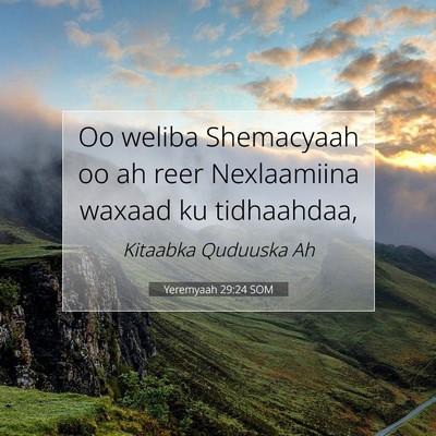Picture 07 - Yeremyaah 29:24 SOM - Oo weliba Shemacyaah oo ah reer Nexlaamiina - Bible Verse Picture
