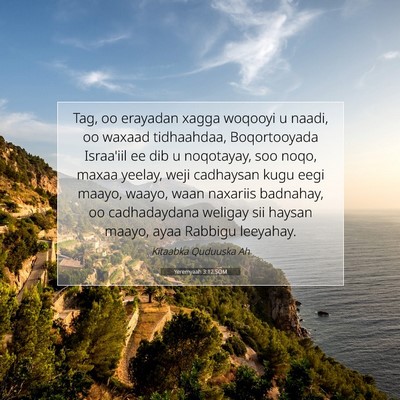 Picture 07 - Yeremyaah 3:12 SOM - Tag, oo erayadan xagga woqooyi u naadi, oo waxaad - Bible Verse Picture