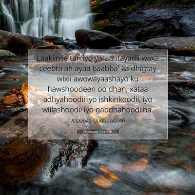 Picture 07 - Yeremyaah 3:24 SOM - Laakiinse tan iyo yaraantayadii waxa ceebta ah - Bible Verse Picture