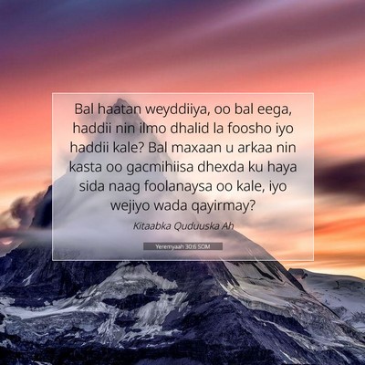Picture 07 - Yeremyaah 30:6 SOM - Bal haatan weyddiiya, oo bal eega, haddii nin - Bible Verse Picture