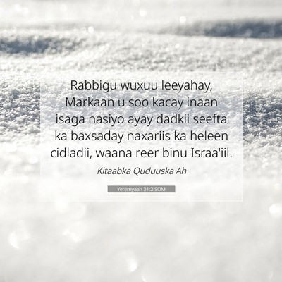 Picture 07 - Yeremyaah 31:2 SOM - Rabbigu wuxuu leeyahay, Markaan u soo kacay inaan - Bible Verse Picture