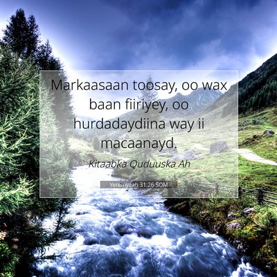 Picture 07 - Yeremyaah 31:26 SOM - Markaasaan toosay, oo wax baan fiiriyey, oo - Bible Verse Picture