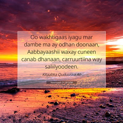 Picture 07 - Yeremyaah 31:29 SOM - Oo wakhtigaas iyagu mar dambe ma ay odhan - Bible Verse Picture
