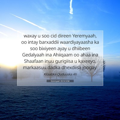 Picture 07 - Yeremyaah 39:14 SOM - waxay u soo cid direen Yeremyaah, oo intay - Bible Verse Picture