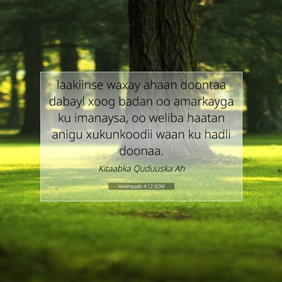 Picture 07 - Yeremyaah 4:12 SOM - laakiinse waxay ahaan doontaa dabayl xoog badan - Bible Verse Picture